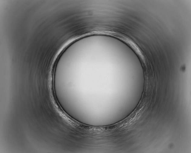 X0000101210955200806270851
