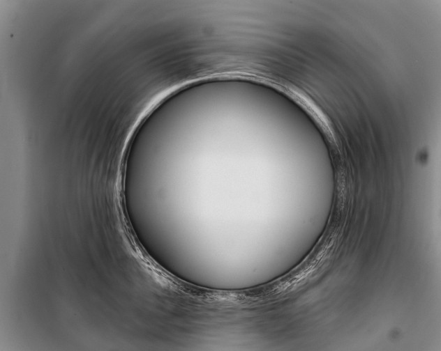 X0000101210956200806270851