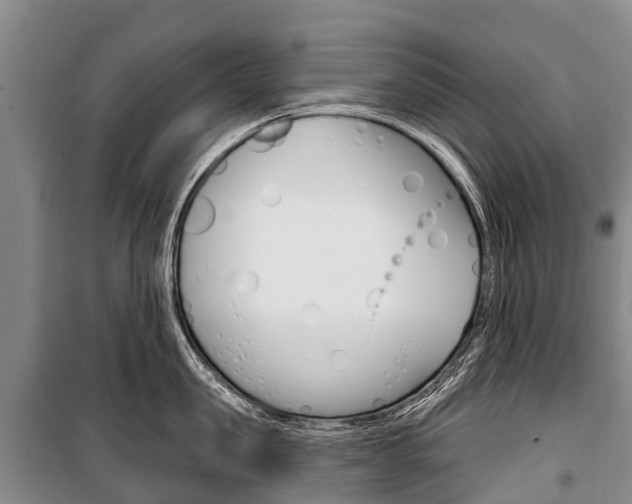 X0000101210957200806270851