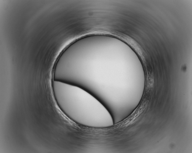 X0000101210958200806270851