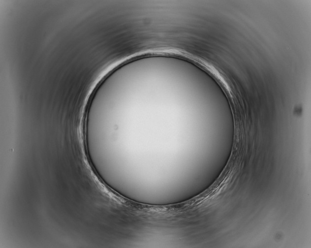 X0000101210959200806270851