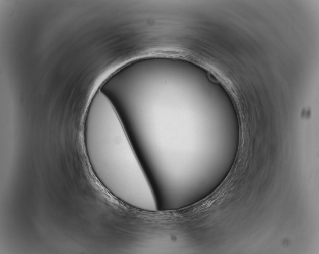 X0000101210960200806270851