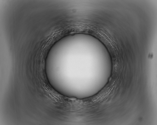 X0000101210961200806270850