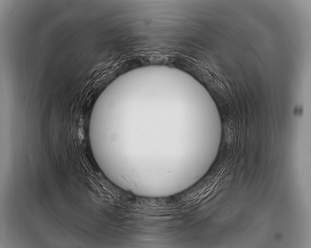 X0000101210962200806270850