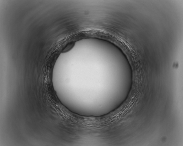 X0000101210965200806270850