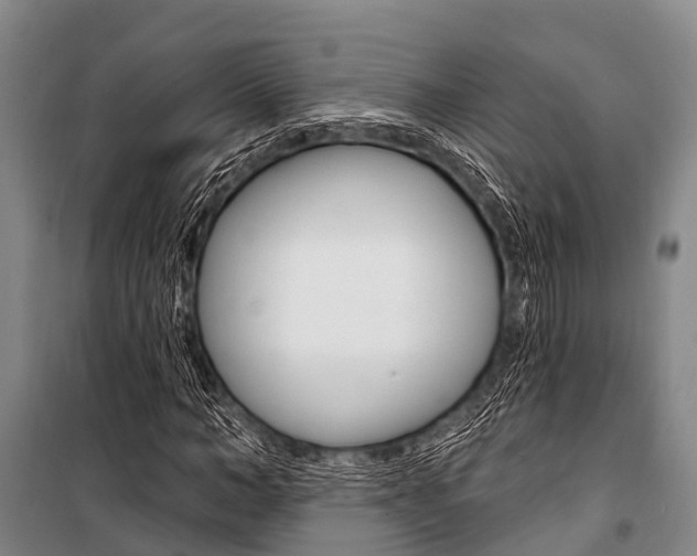 X0000101210966200806270850