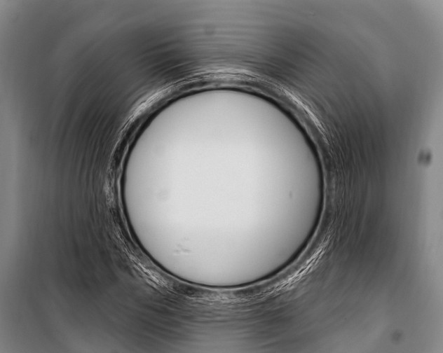 X0000101210970200806270850