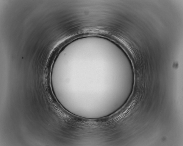 X0000101210971200806270850