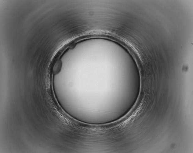 X0000101210973200806270850