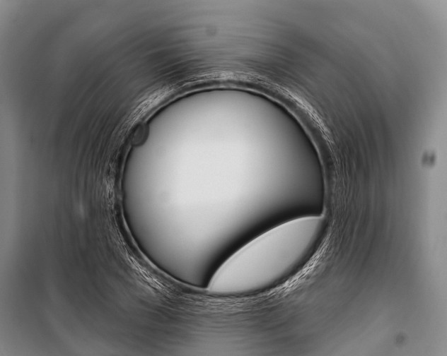 X0000101210977200806270850