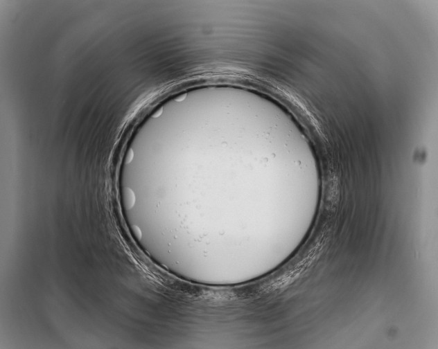 X0000101210978200806270850