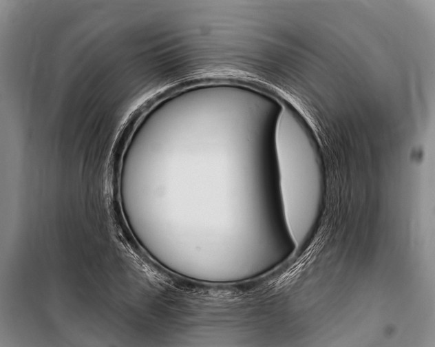 X0000101210979200806270850