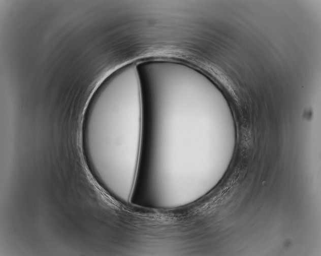 X0000101210980200806270849