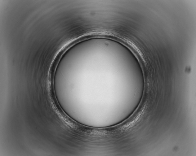 X0000101210981200806270849