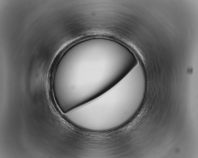 X0000101210983200806270849