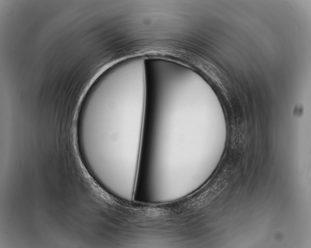 X0000101210984200806270849
