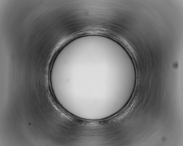 X0000101210986200806270849