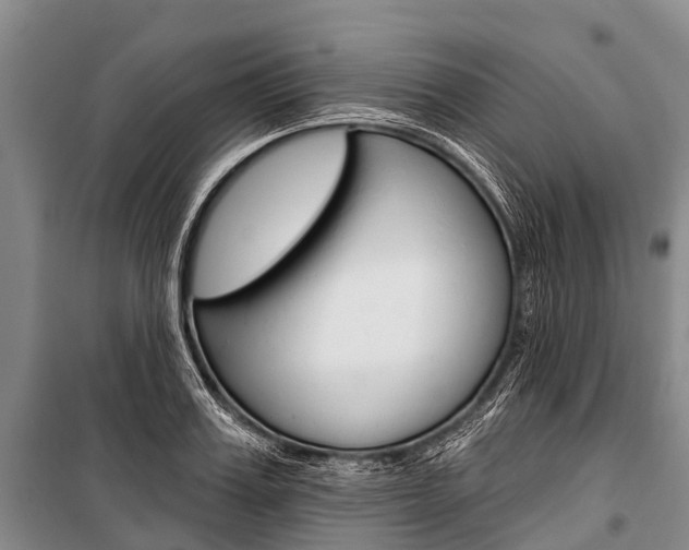 X0000101210987200806270849