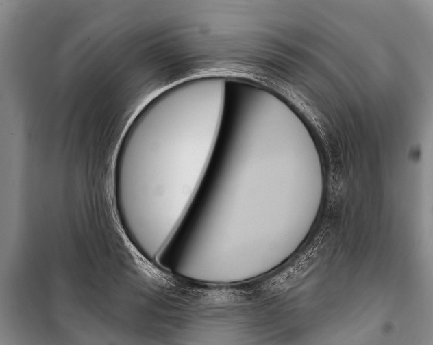 X0000101210988200806270849