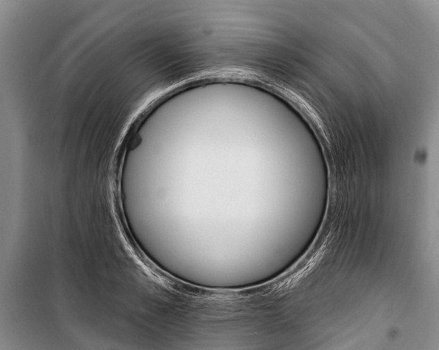 X0000101210989200806270849