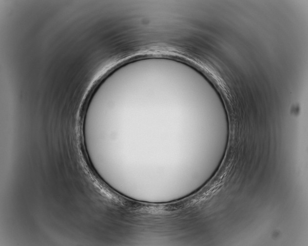 X0000101210990200806270849