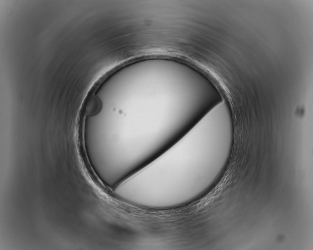 X0000101210991200806270849