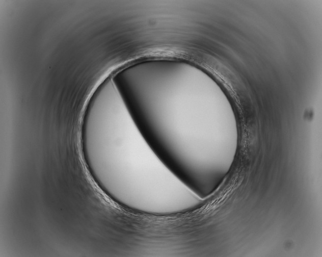 X0000101210992200806270849