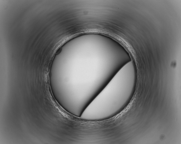 X0000101210993200806270849