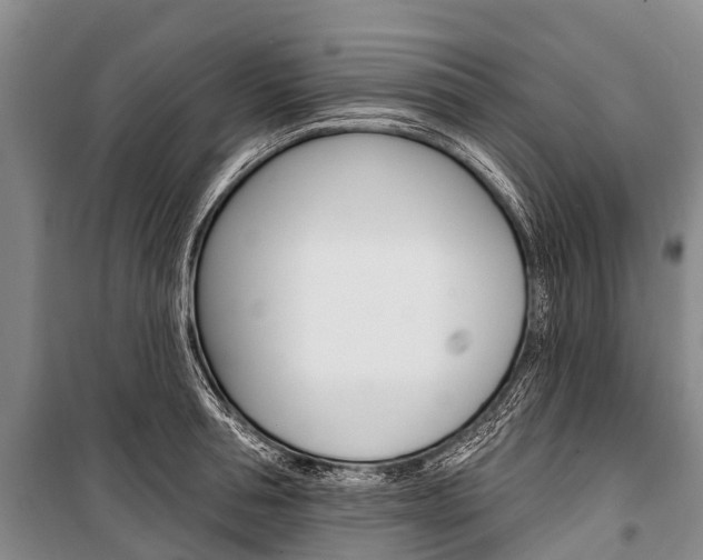 X0000101210994200806270849