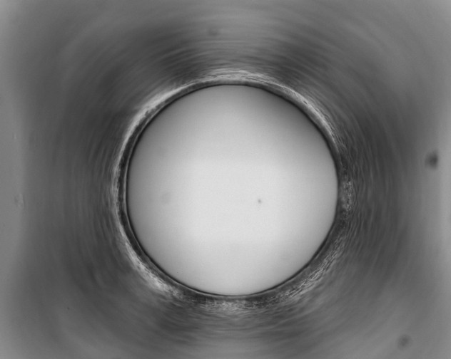 X0000101210995200806270849