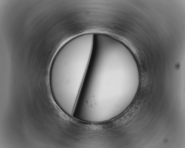 X0000101210996200806270849