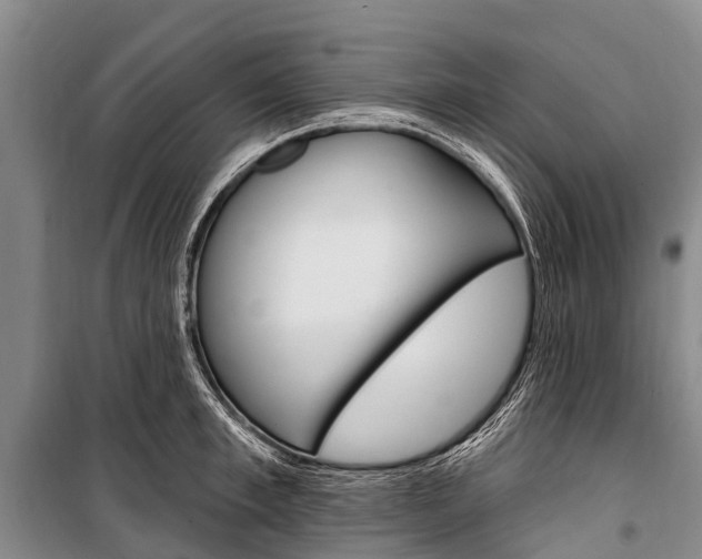 X0000101210997200806270849