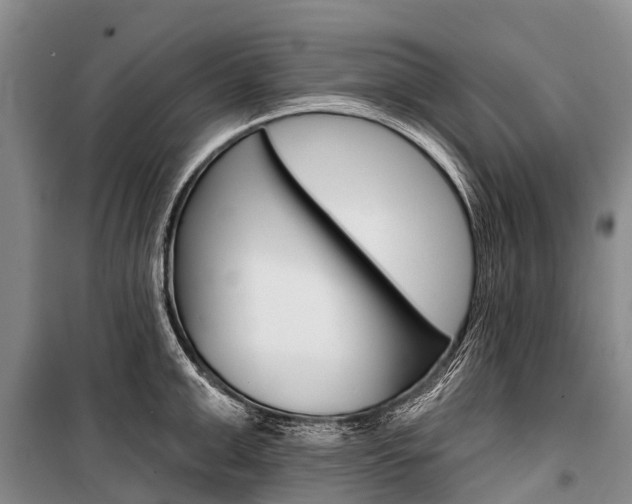 X0000101210999200806270849