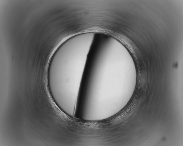 X0000101211000200806270849