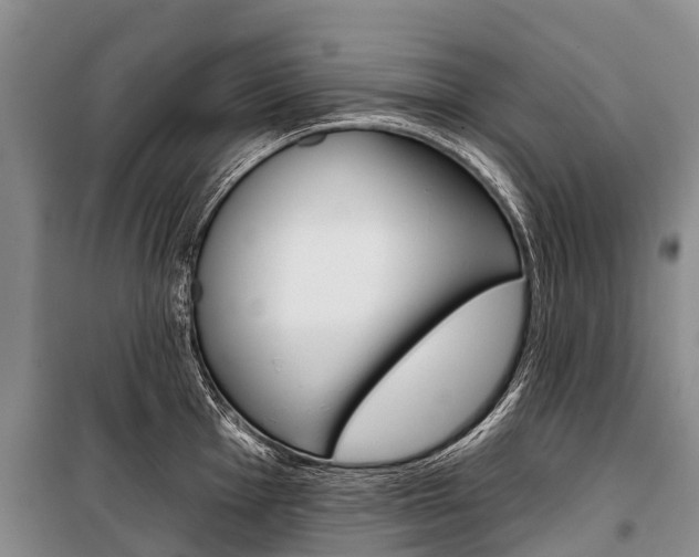 X0000101211001200806270849