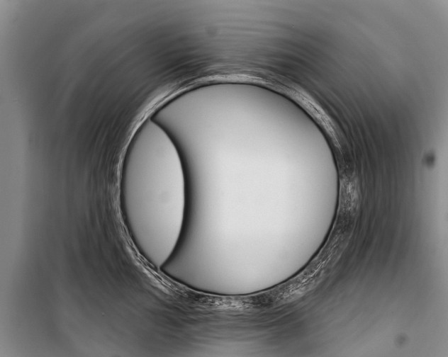 X0000101211002200806270849