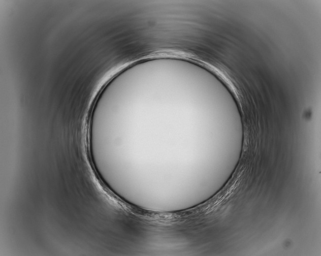 X0000101211003200806270849