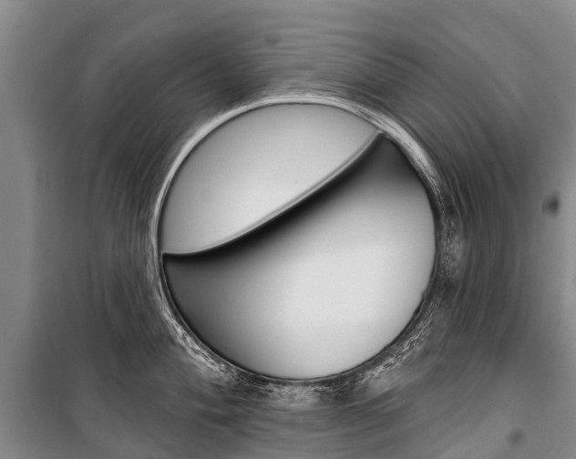 X0000101211004200806270849