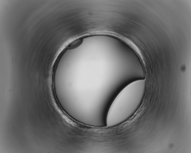 X0000101211005200806270849