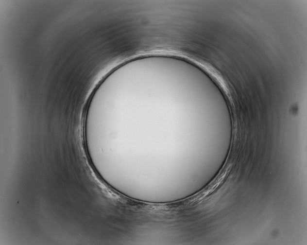 X0000101211006200806270849