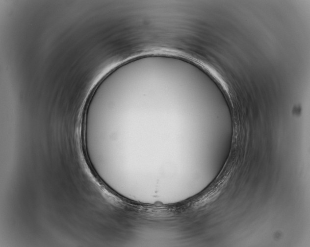 X0000101211007200806270849