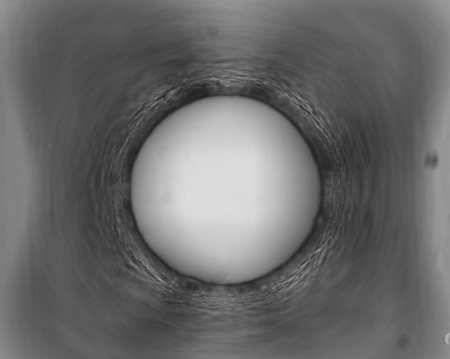 X0000101211009200806270848