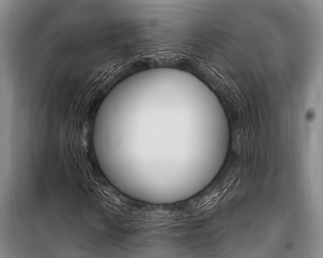 X0000101211010200806270848
