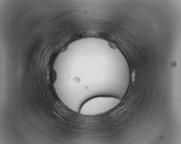 X0000101211011200806270848
