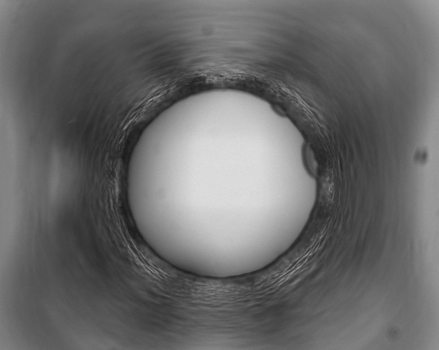 X0000101211012200806270848