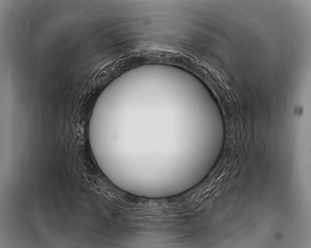 X0000101211013200806270848