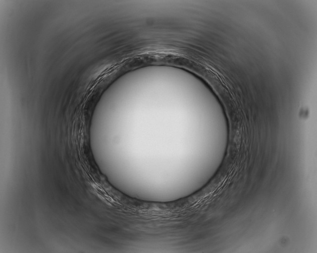 X0000101211014200806270848