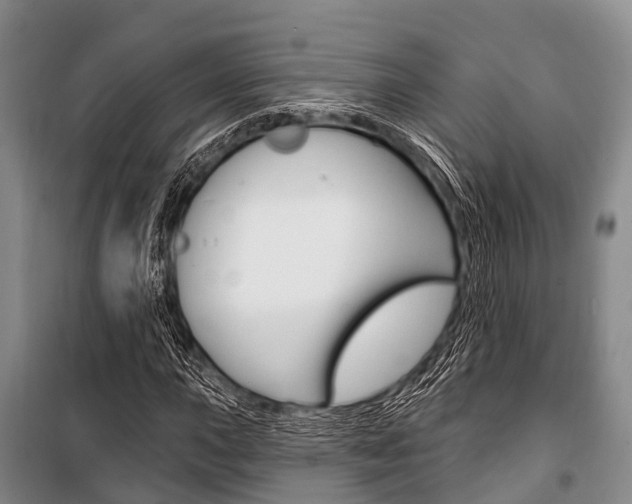X0000101211015200806270848
