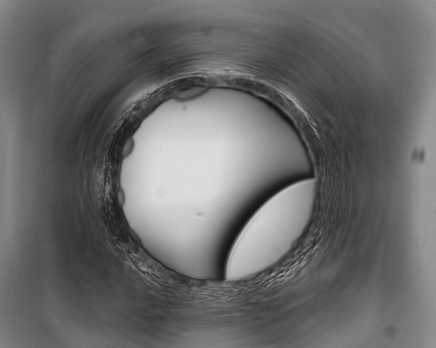 X0000101211016200806270848
