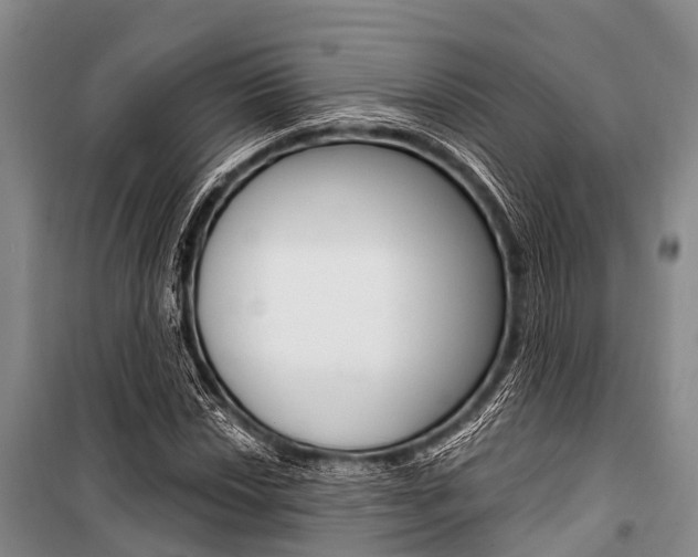 X0000101211018200806270848